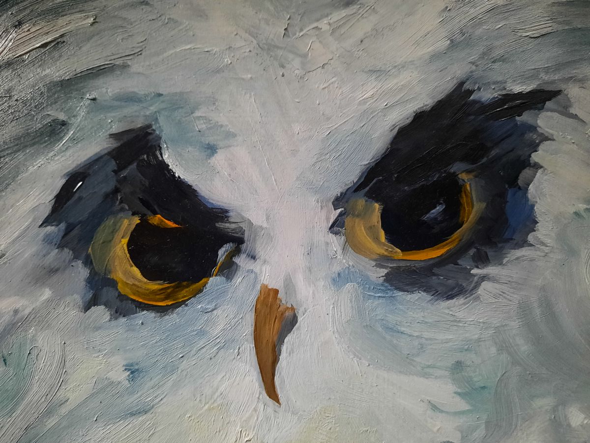 The White Owl Detail