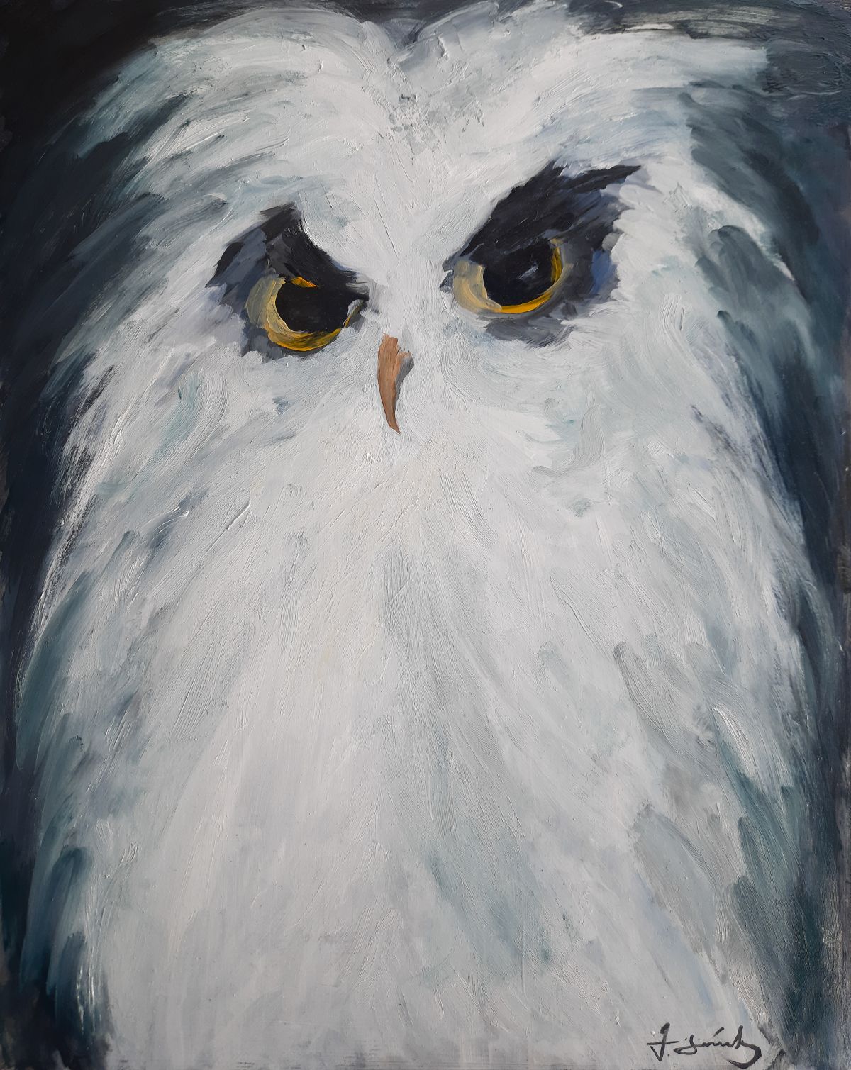 The White Owl Painting Photo