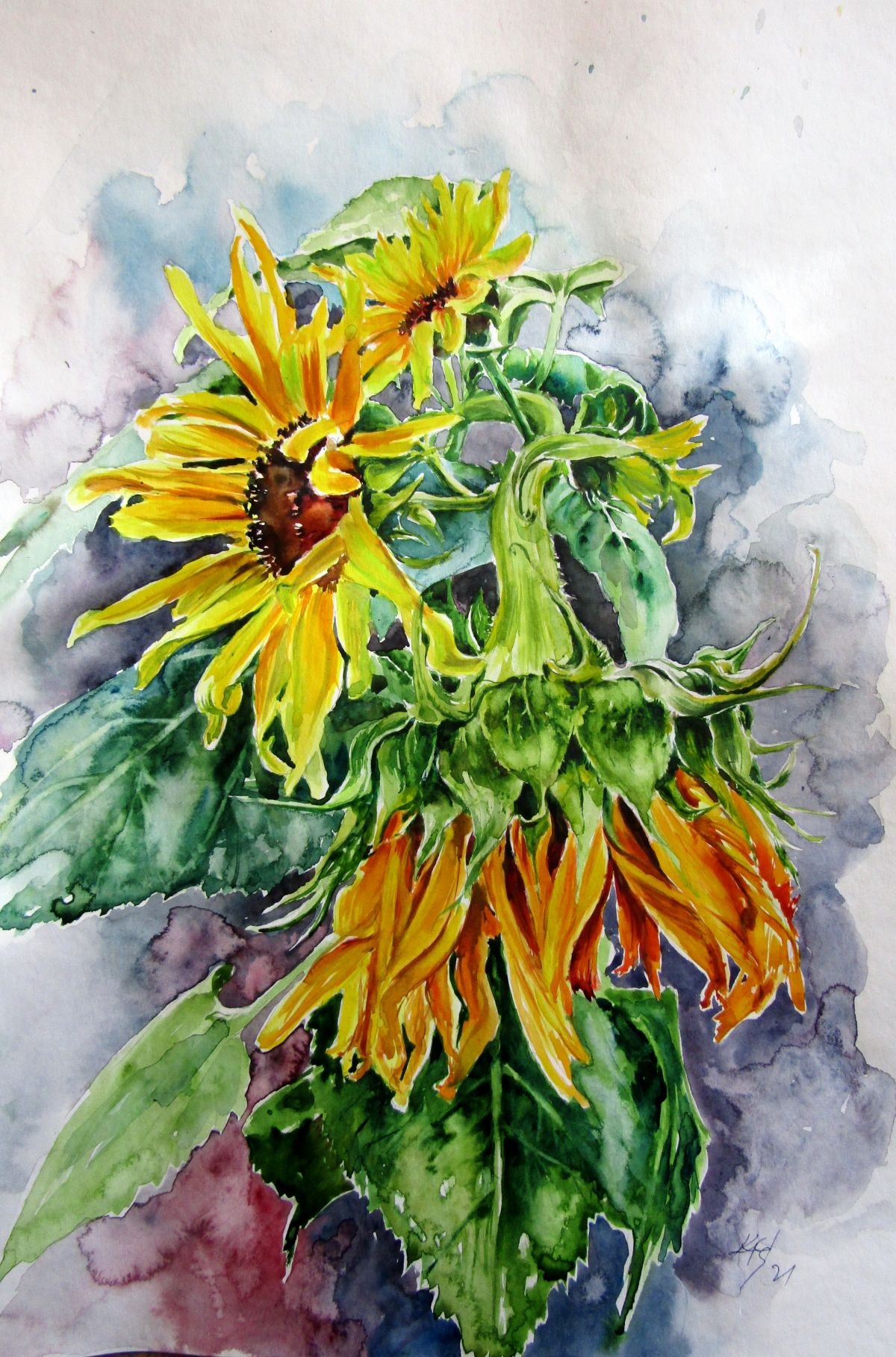Sunflowers In The Garden Detail