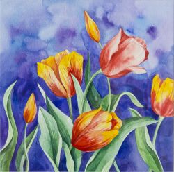 Tulips by Halyna Venhlinska