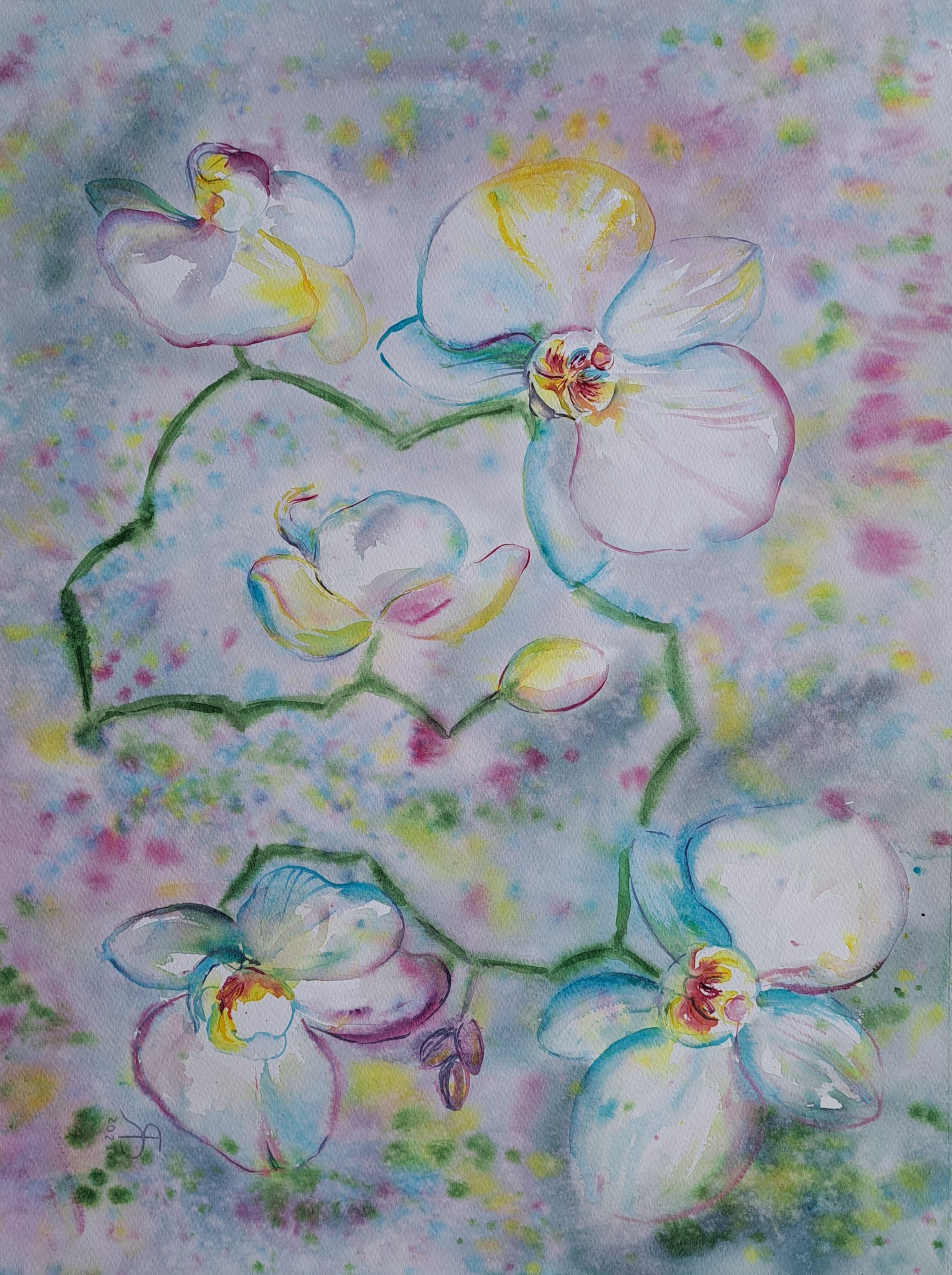 Orchid Tenderness by Yana Bila