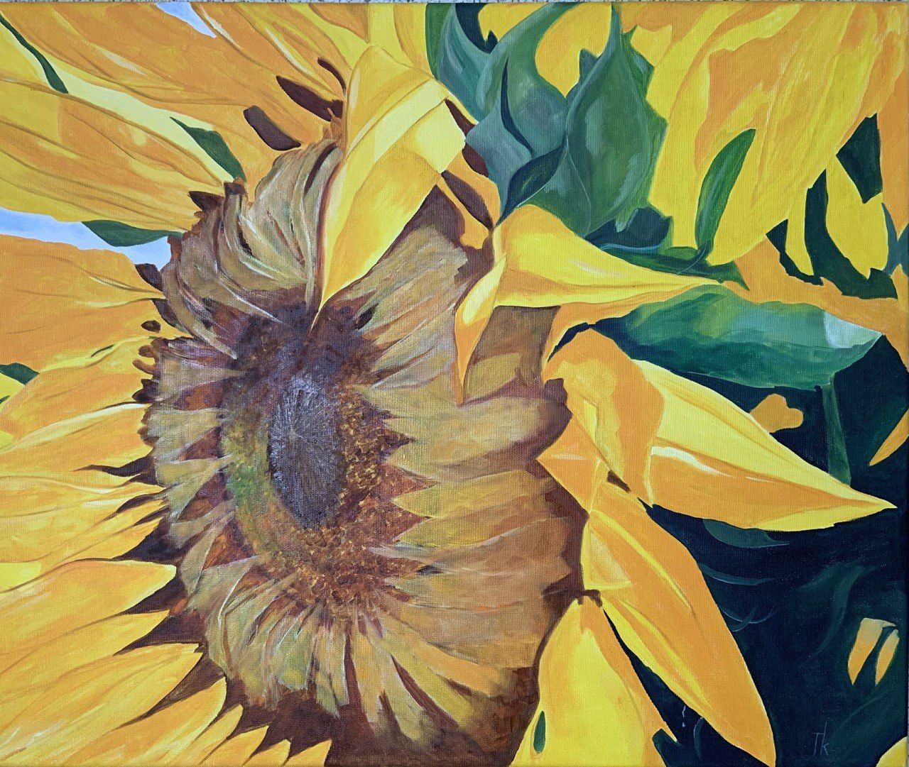 Sunflowers