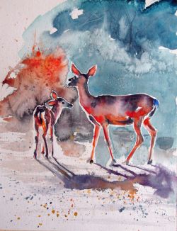 Deer In The Sun by Kovacs Anna Brigitta