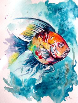 Colorful Fish Iii by Kovacs Anna Brigitta