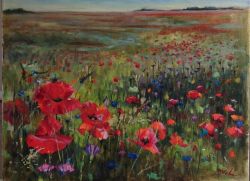 Poppy Field by Svitlana Volokitina
