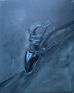Beetle by Maks Khadson