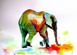 Colorful Elephant Alone by Kovacs Anna Brigitta