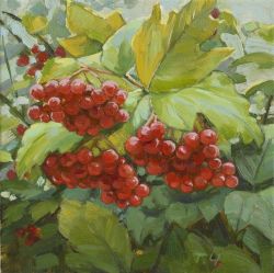 Red Viburnum Berries