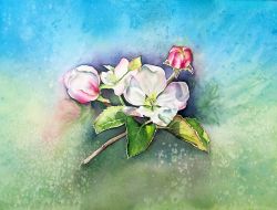 Apple Blossom by Veneta Mincheva