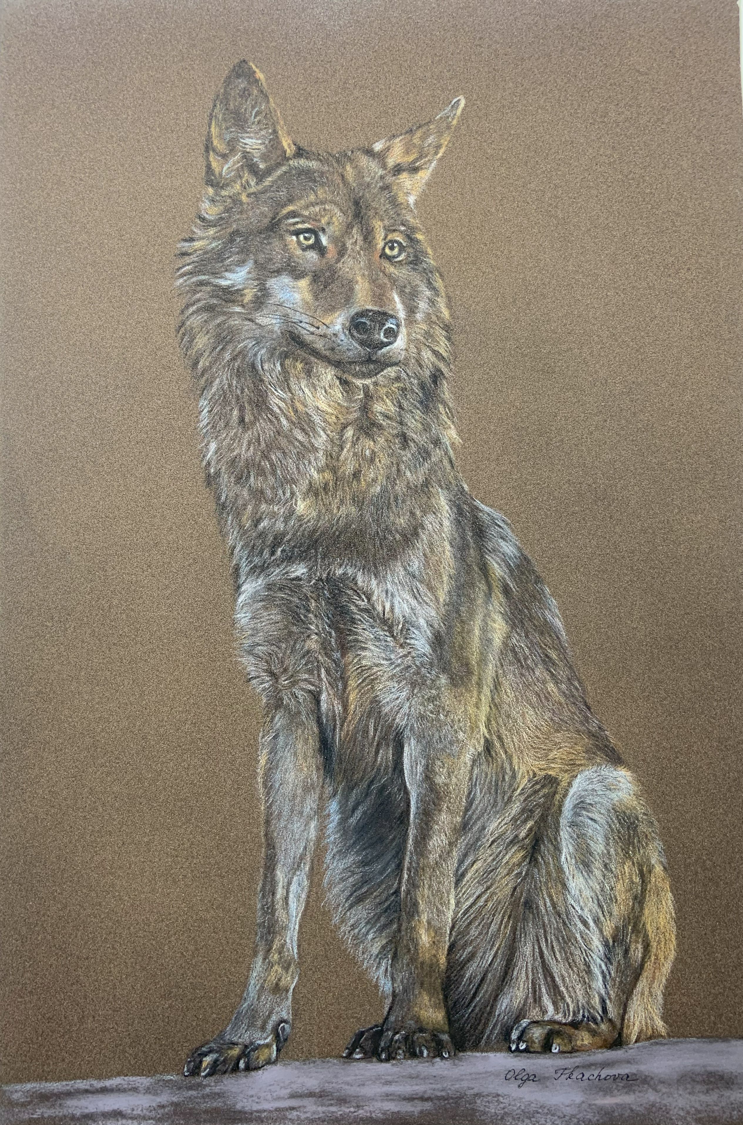 Wolf