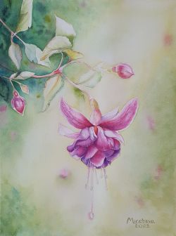 Fuchsia Flower by Veneta Mincheva