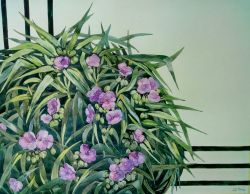 Tradescantia by Svetlana Fesenko