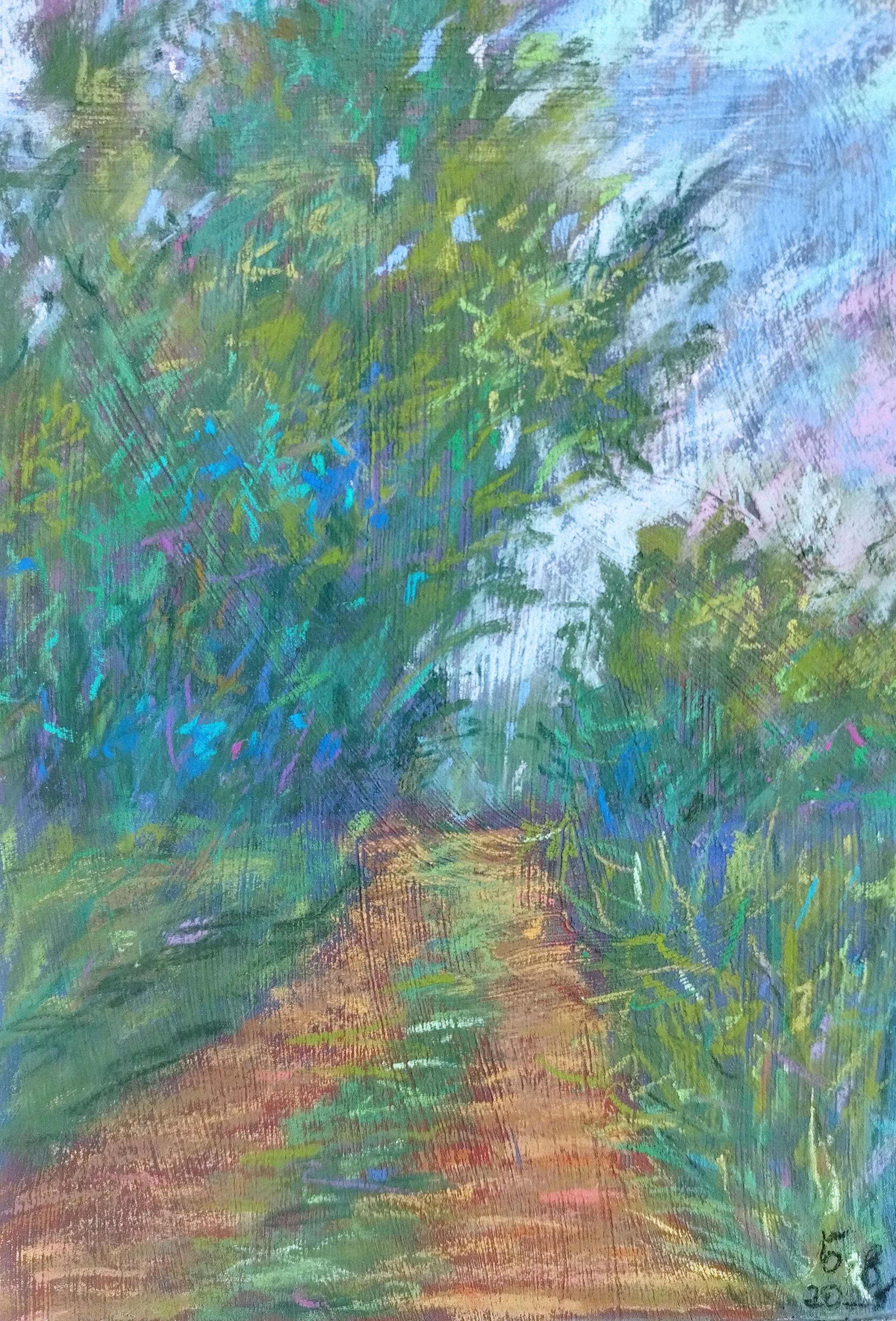 Colorful Forest Path by nino gudadze