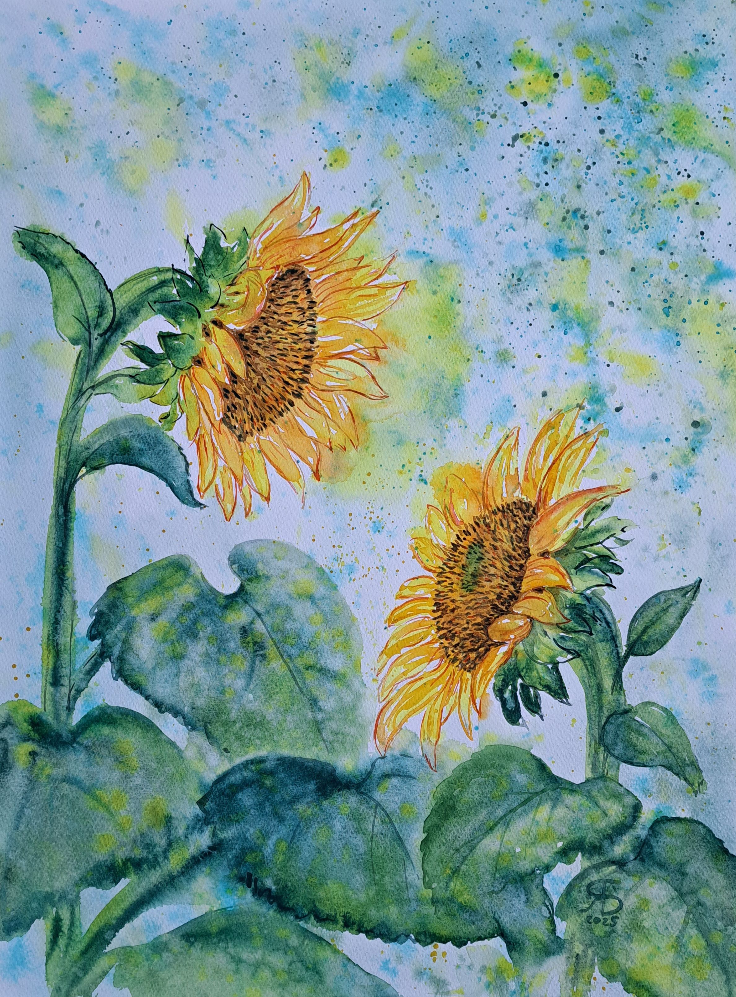You Are My Sun