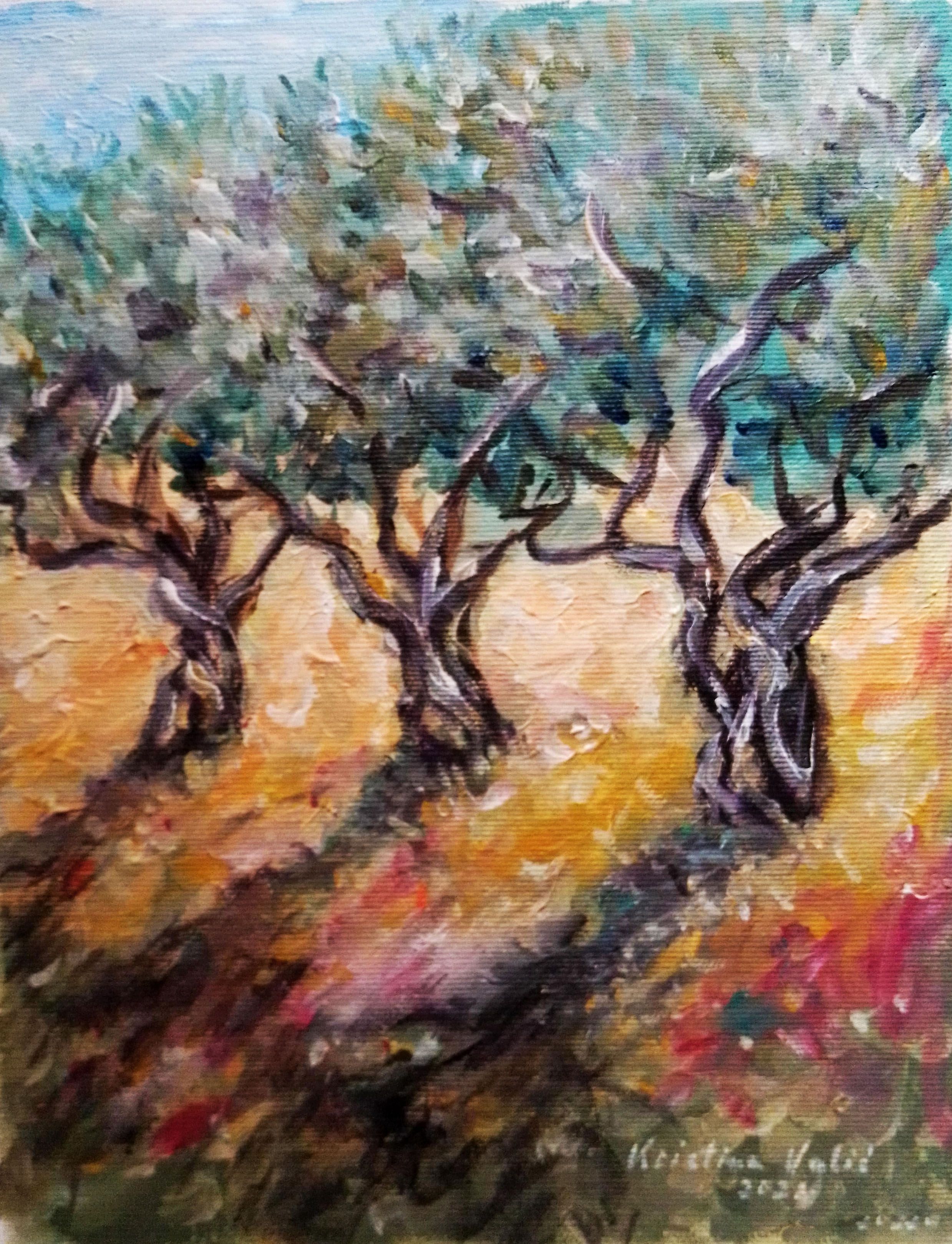 Olive Trees