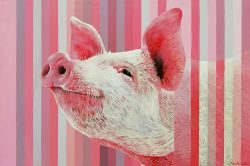 Happy Pig by Sandro Chkhaidze