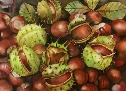 Chestnuts by Mimi Dimova