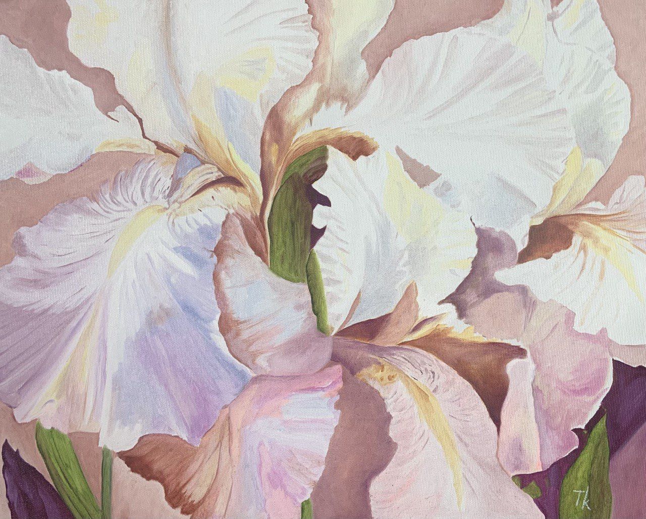 Pink irises