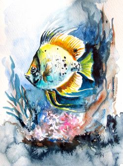 Colorful Fish Ii by Kovacs Anna Brigitta