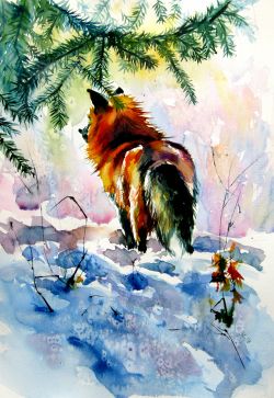 Red Fox Watching Wintertime by Kovacs Anna Brigitta