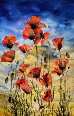 Poppies