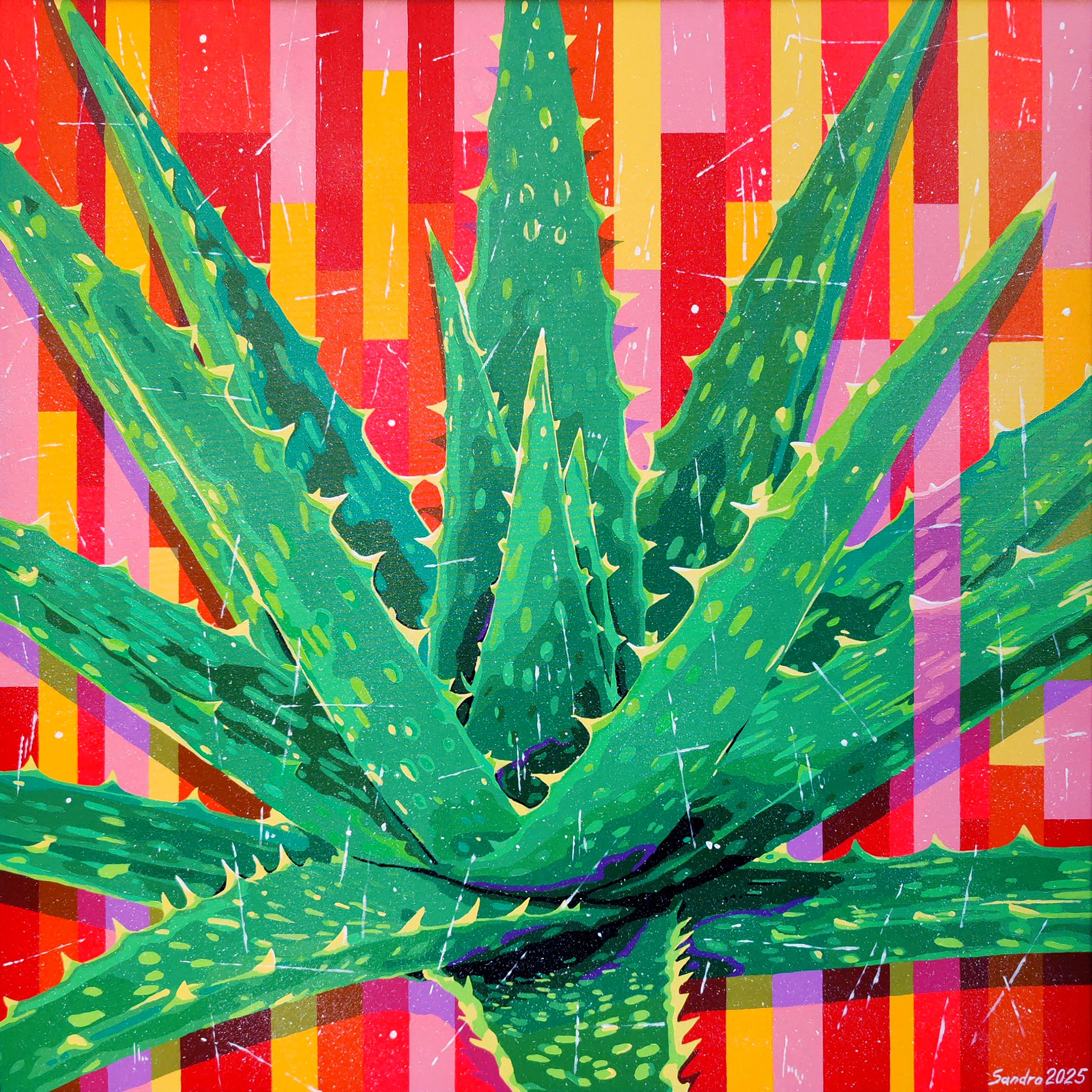 Aloe by Sandro Chkhaidze