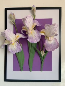 Iris Flowers From Foamiran In 3D Image by Olga Tkachova