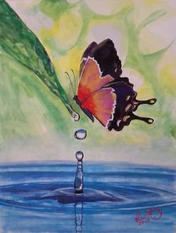 Butterfly and drop of water by Zoran Dakic
