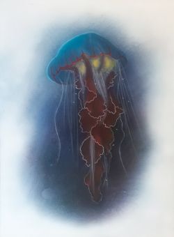 Jellyfish