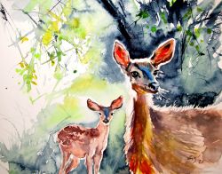 Deer In The Sun Ii by Kovacs Anna Brigitta