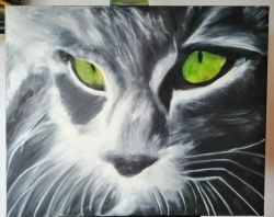 The Cat Eyes