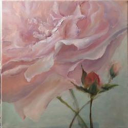 Rose In Close Up by Elena Mardashova
