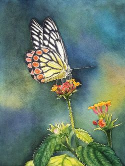 Happiness is like a Butterfly by Veneta Mincheva