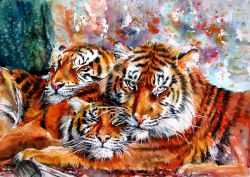 Resting tigers by Kovacs Anna Brigitta
