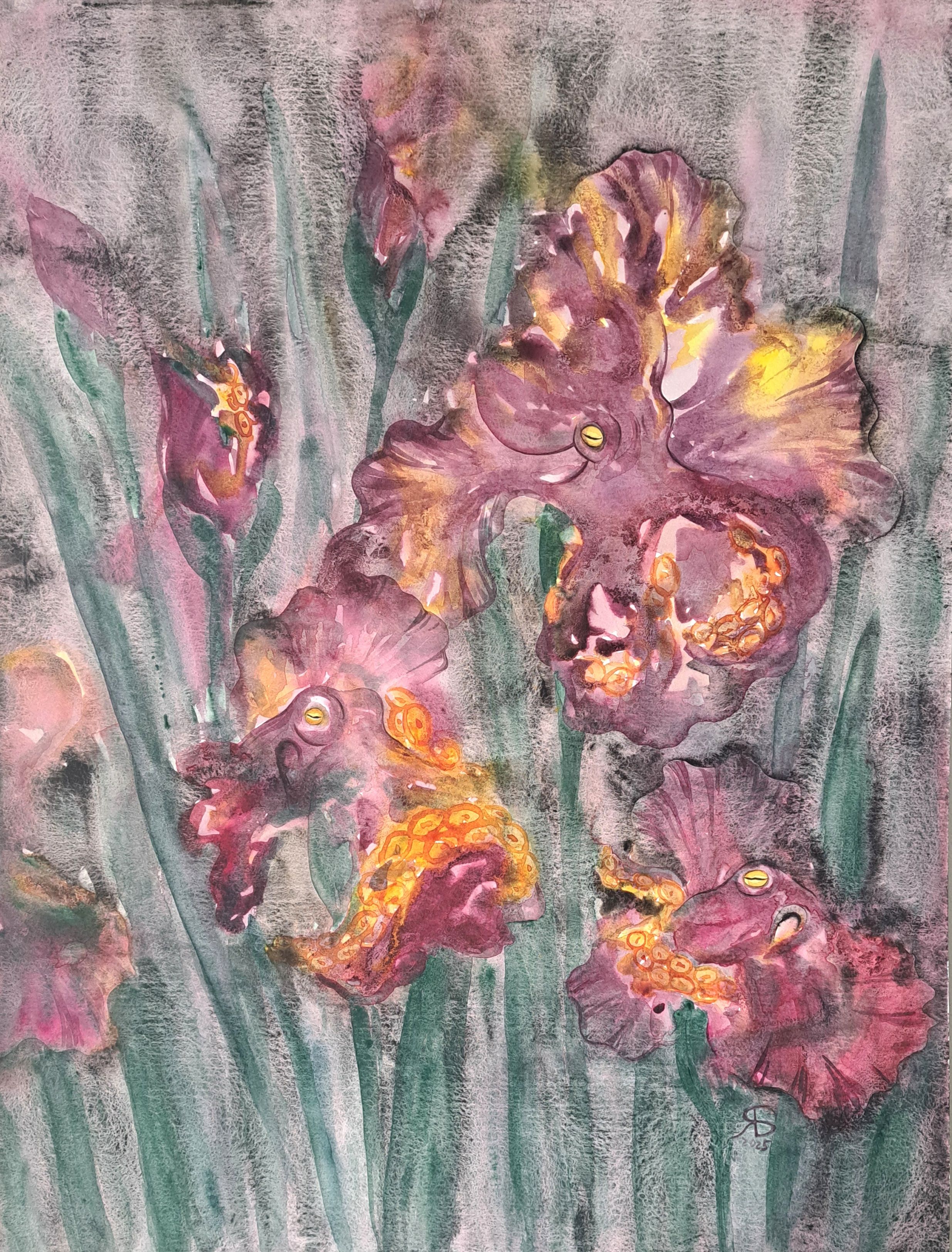 Irises by Yana Bila