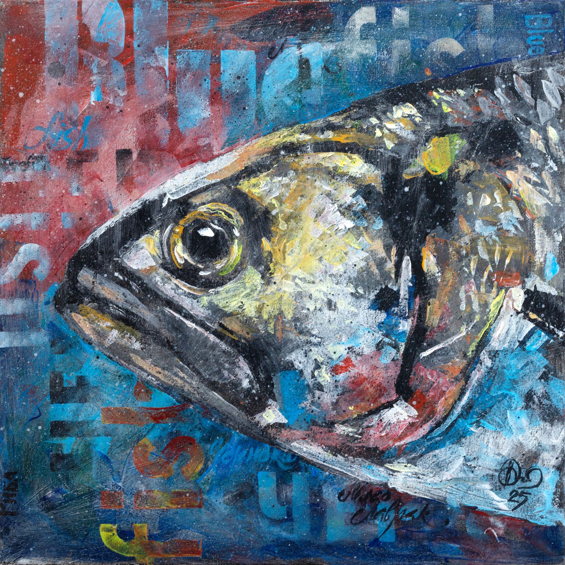 Bluefish Portrait