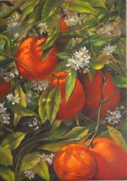 Oranges by Elena Mardashova