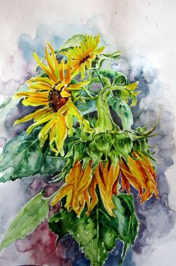 Sunflowers In The Garden by Kovacs Anna Brigitta