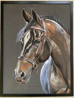 Horse Portrait Dry Pastel by Olga Tkachova