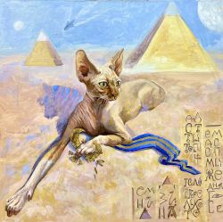 Cat Marfusha Sphinx