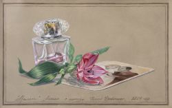 Aroma, classical drawing in a realism style, 36 by 24 cm by Iuliia Kravchenko