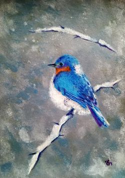 Blue Bird by Tamar Basilia