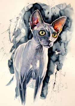 Sphinx Cat by Kovacs Anna Brigitta
