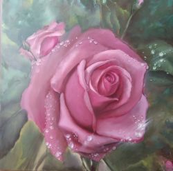 Rose In Dew by Elena Mardashova