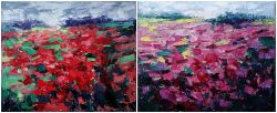 Meadow Impressions by Emilia Milcheva