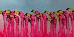 Flamingos by George Abuashvili